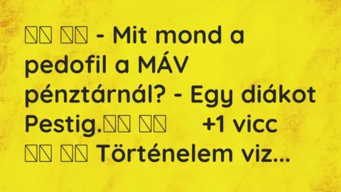 Vicc: 
		  
		  – Mit mond a pedofil a MÁV pénztárnál? – Egy diákot…