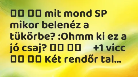 Vicc: 
		  
		  mit mond SP mikor belenéz a tükörbe? :Ohmm ki ez a jó…