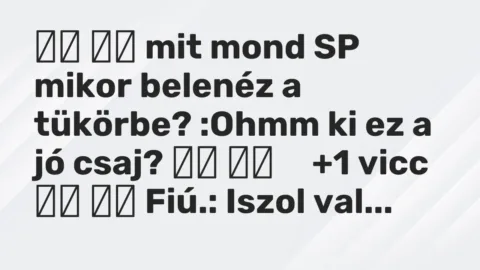 Vicc: 
		  
		  mit mond SP mikor belenéz a tükörbe? :Ohmm ki ez a jó…