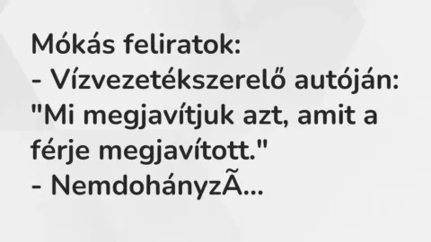 Vicc: Mókás feliratok:

– Vízvezetékszerelő autóján: „Mi megjavítjuk azt, amit a…
