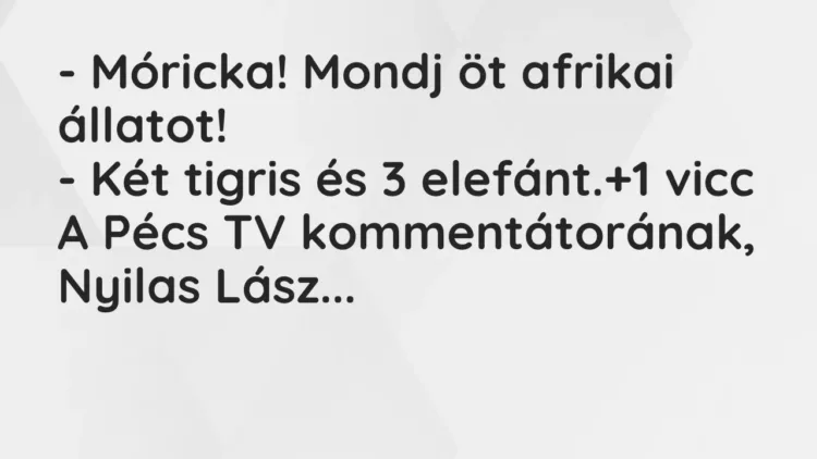 Vicc: – Móricka! Mondj öt afrikai állatot!
– Két tigris és 3 elefánt. Vicc: – Móricka! Mondj öt afrikai állatot!
– Két tigris és 3 elefánt.