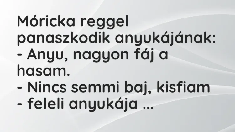 Vicc: Móricka reggel panaszkodik anyukájának:
– Anyu, nagyon fáj a hasam.
-… Vicc: Móricka reggel panaszkodik anyukájának:
– Anyu, nagyon fáj a hasam.
-…
