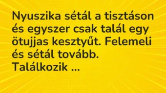 Vicc: Nyuszika sétál a tisztáson és egyszer csak talál egy ötujjas kesztyűt. Felemeli…