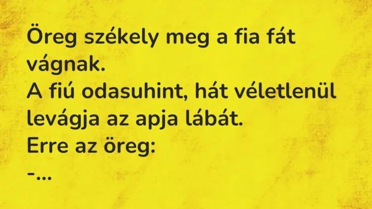 Vicc: Öreg székely meg a fia fát vágnak.
A fiú odasuhint, hát véletlenül levágja… Vicc: Öreg székely meg a fia fát vágnak.
A fiú odasuhint, hát véletlenül levágja…
