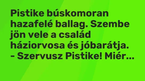 Vicc: Pistike búskomoran hazafelé ballag. Szembe jön vele a család háziorvosa és…