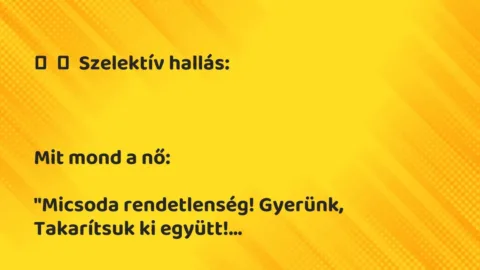 Vicc: 
	    	    Szelektív hallás:





Mit mond a nő:


„Micsoda…