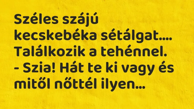 Vicc: Széles szájú kecskebéka sétálgat….
Találkozik a tehénnel.
– Szia!… Vicc: Széles szájú kecskebéka sétálgat….
Találkozik a tehénnel.
– Szia!…