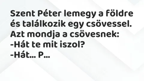 Vicc: Szent Péter lemegy a földre és találkozik egy csövessel.

Azt mondja a…