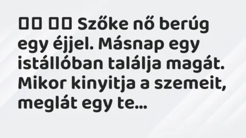 Vicc: 
		  
		  Szőke nő berúg egy éjjel. Másnap egy istállóban találja…