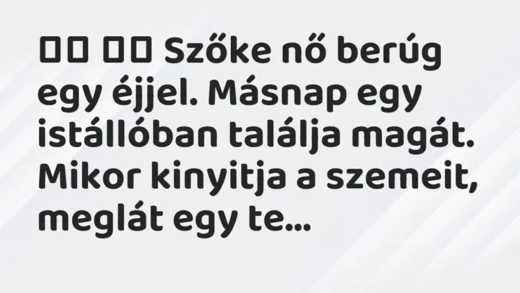 Vicc:
Szőke nő berúg egy éjjel. Másnap egy istállóban találja… Vicc:
Szőke nő berúg egy éjjel. Másnap egy istállóban találja…