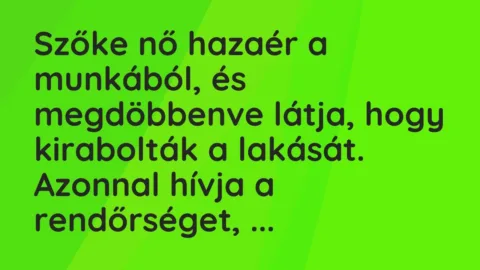 Vicc: Szőke nő hazaér a munkából, és megdöbbenve látja, hogy kirabolták a lakását….