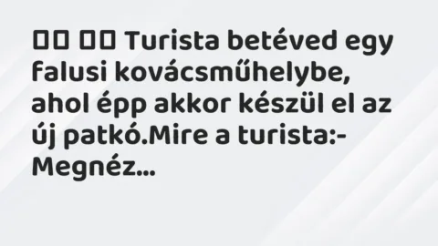 Vicc: 
		  
		  Turista betéved egy falusi kovácsműhelybe, ahol épp akkor…