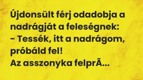 Vicc: Újdonsült férj odadobja a nadrágját a feleségnek:

– Tessék, itt a nadrágom,…