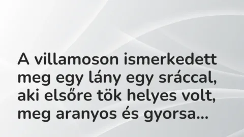 Vicces történet: 
	    	    


A villamoson ismerkedett meg egy lány egy…