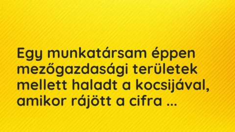 Vicces történet: 
	    	    


Egy munkatársam éppen mezőgazdasági területek…