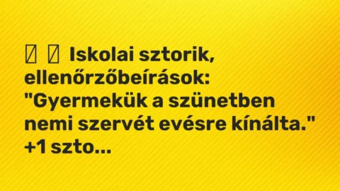 Vicces történet: 
	    	    Iskolai sztorik, ellenőrzőbeírások:


„Gyermekük a szünetben…