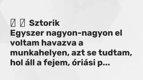 Vicces történet: 
	    	    Sztorik


Egyszer nagyon-nagyon el voltam havazva a munkahelyen,…