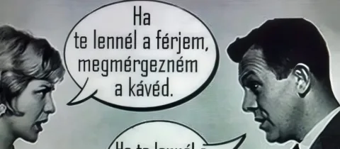 Vicc: Ha te lennél a férjem…