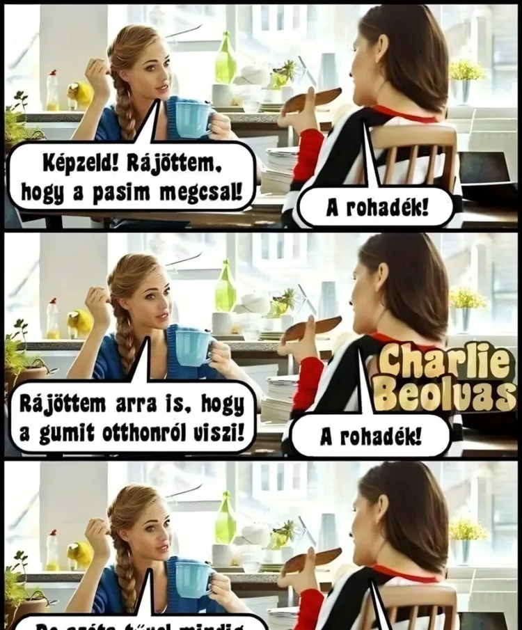 Vicc: Rájöttem, hogy a pasim megcsal Vicc: Rájöttem, hogy a pasim megcsal
