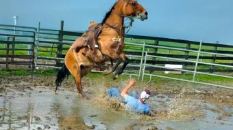 Próbálj meg nem nevetni a kihívást, lehetetlen  2025 július legjobb kudarcai
 – videó