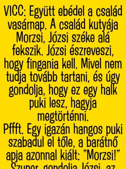 Vicc: Morzsi kutya a szék alá fekszik