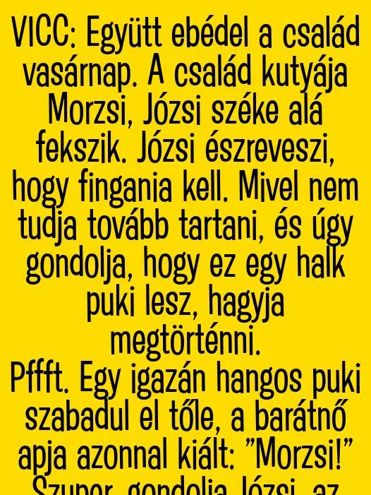 Vicc: Morzsi kutya a szék alá fekszik Vicc: Morzsi kutya a szék alá fekszik