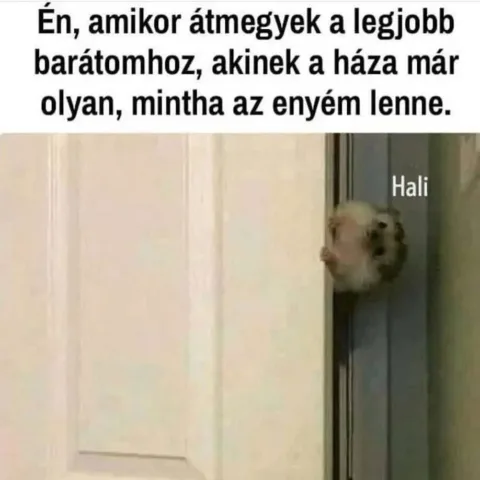 #VK1756480199