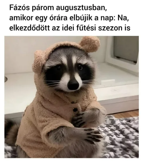 #VK1756480237
