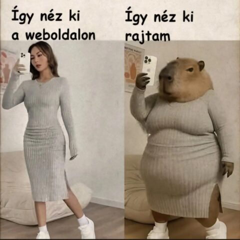 #VK1756480238