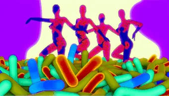 Meglém, de igaz: emberi bélmikrobák, amik sztriptízbarokkot játszanak