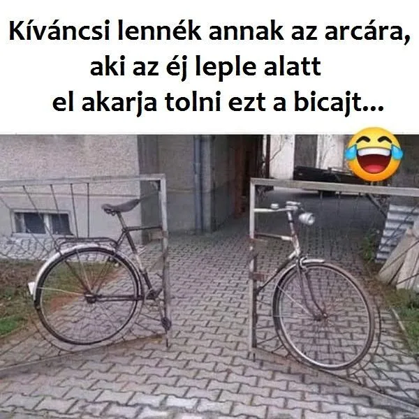 #VK1754061288