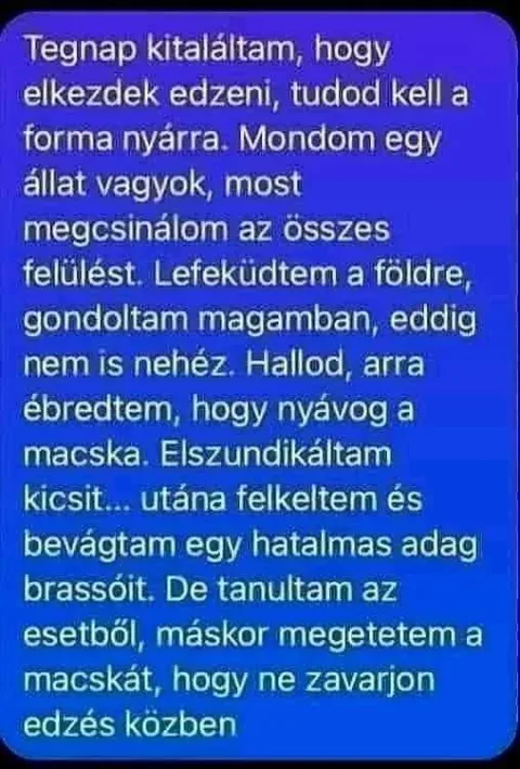 #VK1754071241