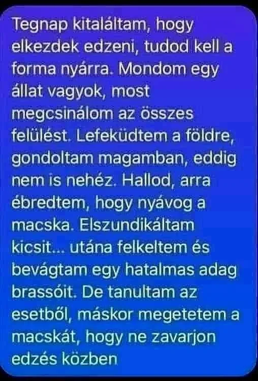 #VK1754071241