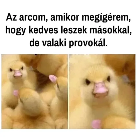 #VK1754157633