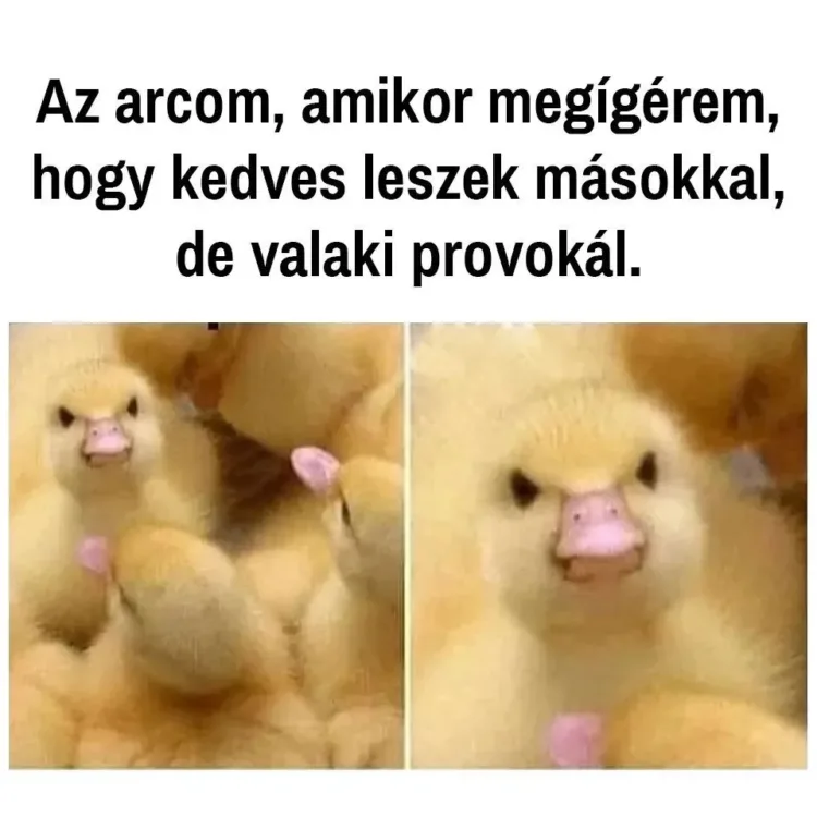 #VK1754157633 #VK1754157633