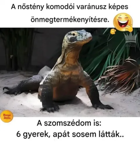 #VK1754220036