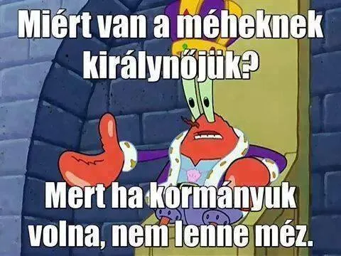 #VK1754240439