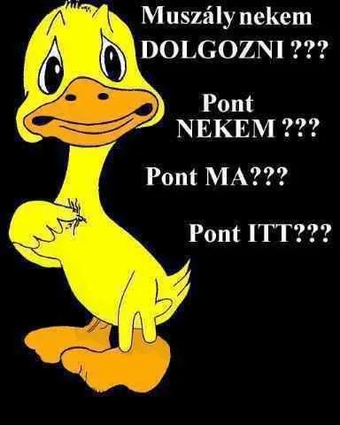Muszály nekem dolgozni?