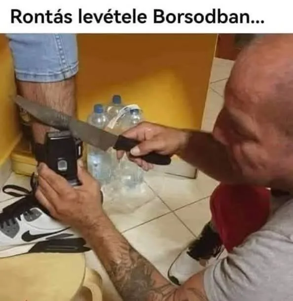 #VK1754409236
