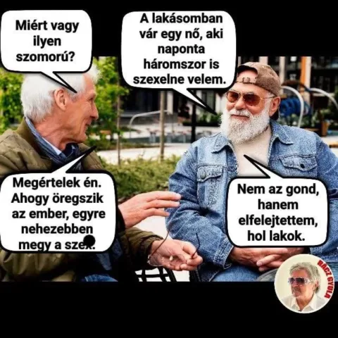 #VK1754409248