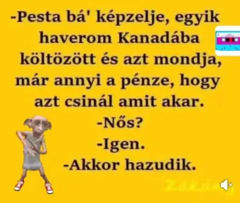 #VK1754503231