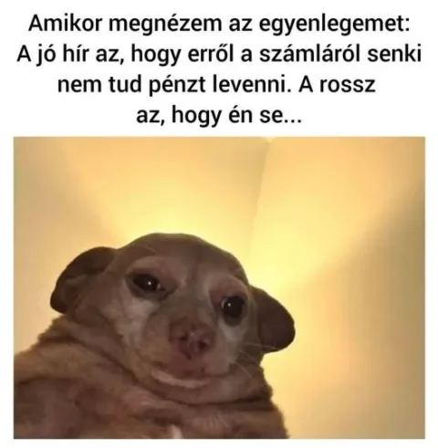 #VK1754546426