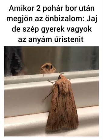 #VK1754652615