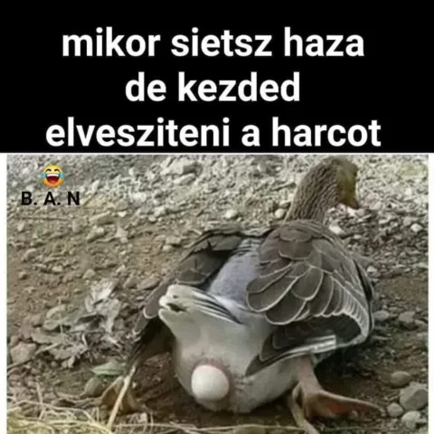#VK1754758837