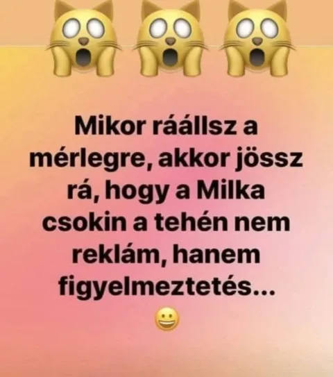 #VK1754848806