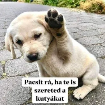 #VK1754908801
