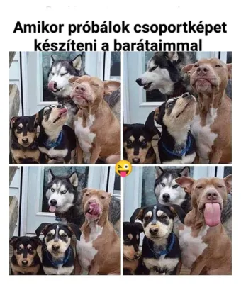 #VK1755009848
