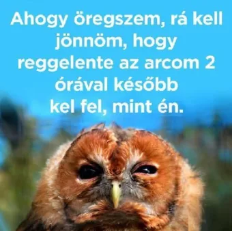 #VK1755064860