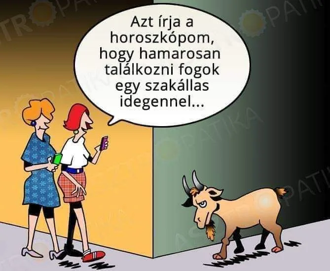 #VK1755180069