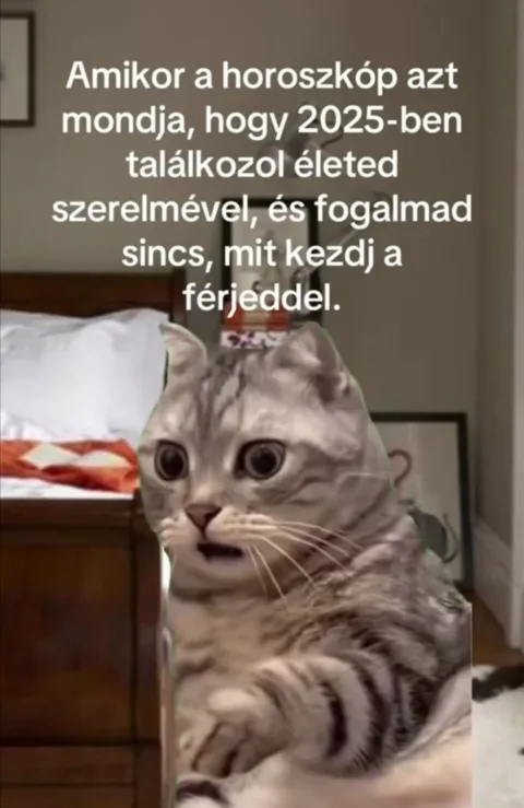 #VK1755237650